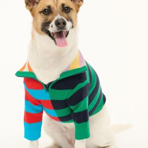 PET HAMPTON SWEATER | CABANA STRIPE MULTI