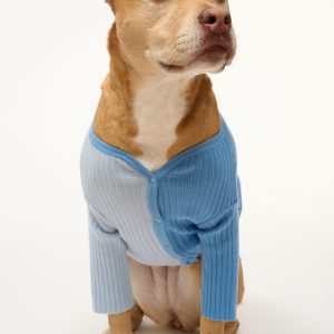 PET SHOKO SWEATER | PERIWINKLE MULTI