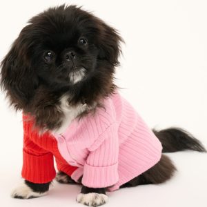 PET SHOKO SWEATER | POPPY ROSEBUD
