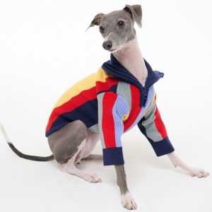 PET HAMPTON SWEATER | MARKET STRIPE